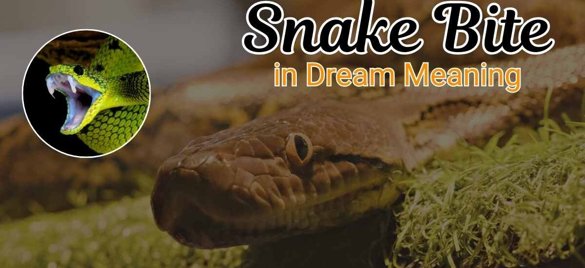 Snake Bite in Dream Meaning