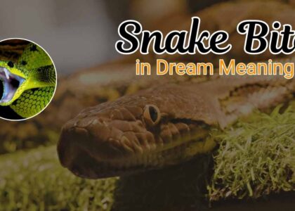 Snake Bite in Dream Meaning