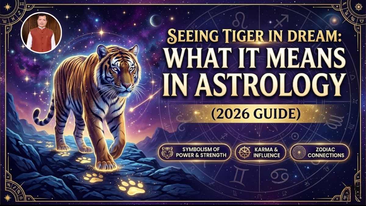 Seeing Tiger in Dream: What It Means in Astrology