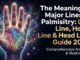 Major Lines in Palmistry (1)