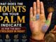 What Do the Mounts on Your Palm Reveal